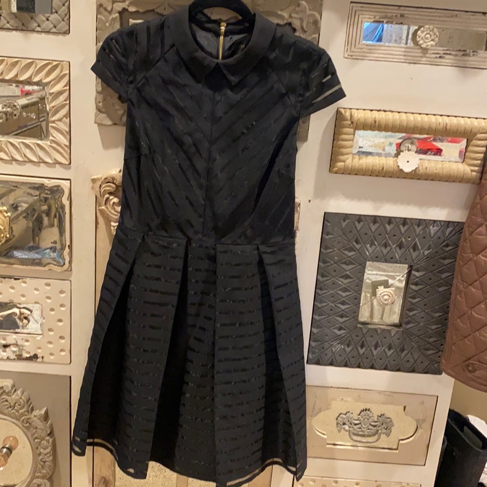 Ted Baker Fit n Flare Dress Size 2/4-6 EUC